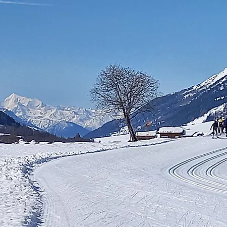 Wohnung Mit Schoener Sicht Auf Bergpanorama Und Uebers Tal Ernen Exterior photo