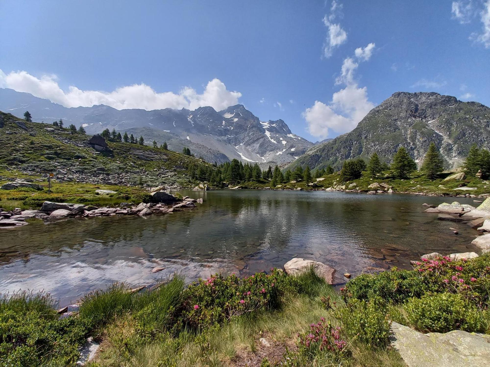 Mit Schoener Sicht Auf Bergpanorama Und Uebers Tal Appartement Ernen