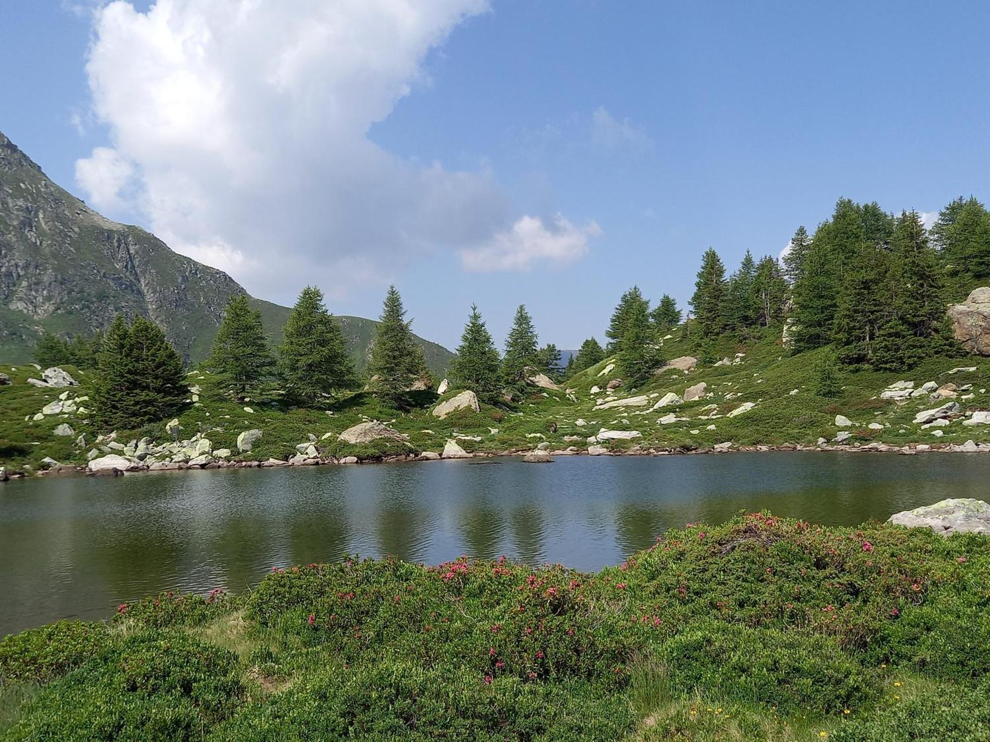 Mit Schoener Sicht Auf Bergpanorama Und Uebers Tal *